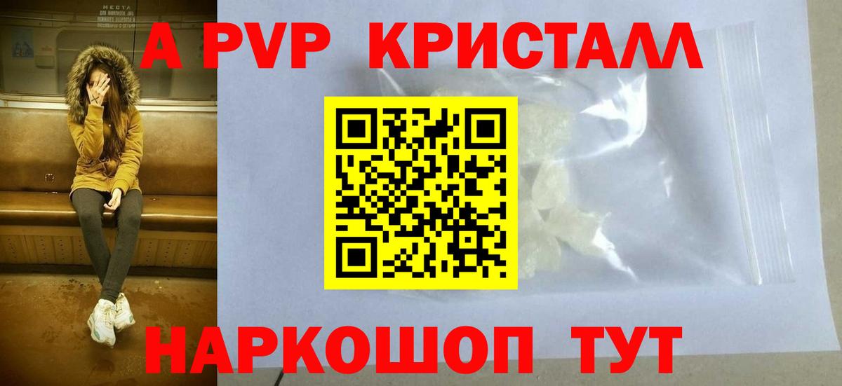 A PVP СК КРИС Губкин