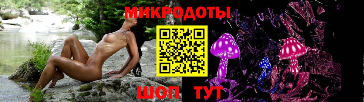 Губкин  Псилоцибиновые грибы GOLDEN TEACHER  Вход с VPN 